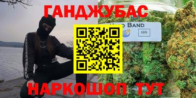 крисы Новодвинск
