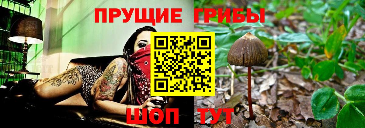 Галлюциногенные грибы GOLDEN TEACHER  Псилоцибиновые грибы MAGIC MUSHROOMS  купить закладку  Воркута  Вход с VPN 